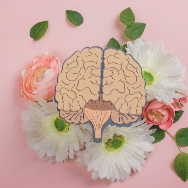 Centro Especializado de Atenci&oacute;n Ambulatoria en Salud Dr. Nelson Astacio destaca importancia de la salud mental en las madres