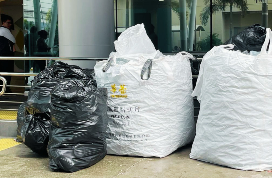 CEASNA fortalece su compromiso ambiental con la recolecci&oacute;n de 7,987 botellas pl&aacute;sticas y significativos aportes a la sostenibilidad